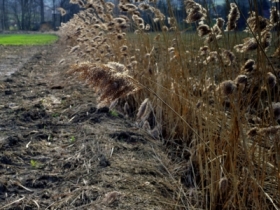 Mi�dzy jesieni� a&nbsp;zim�