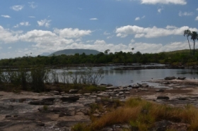p�askowy� Roraima