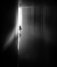 Wiosenna lekkos� bytu.