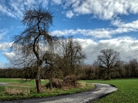 mi�dzyle�na polana