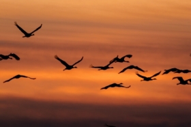 W stron� �wiat�a.