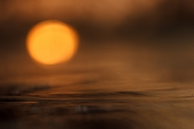 Impresja na koniec dnia