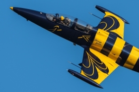 Baltic Bees z Antidotum AirShow Leszno 2025