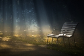 Pokaz �wiate� pani natury