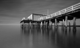 zdj�cie miesi�ca