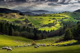 Pieniny