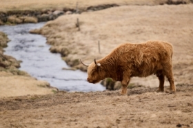 Wiosenna zaduma nad losem