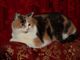 a ja na&nbsp;wszystko z&nbsp;g�ry patrz� :))